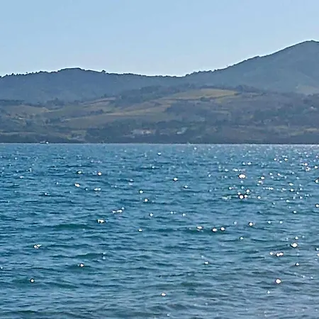 App Le Palais D'ete Argelès-sur-Mer